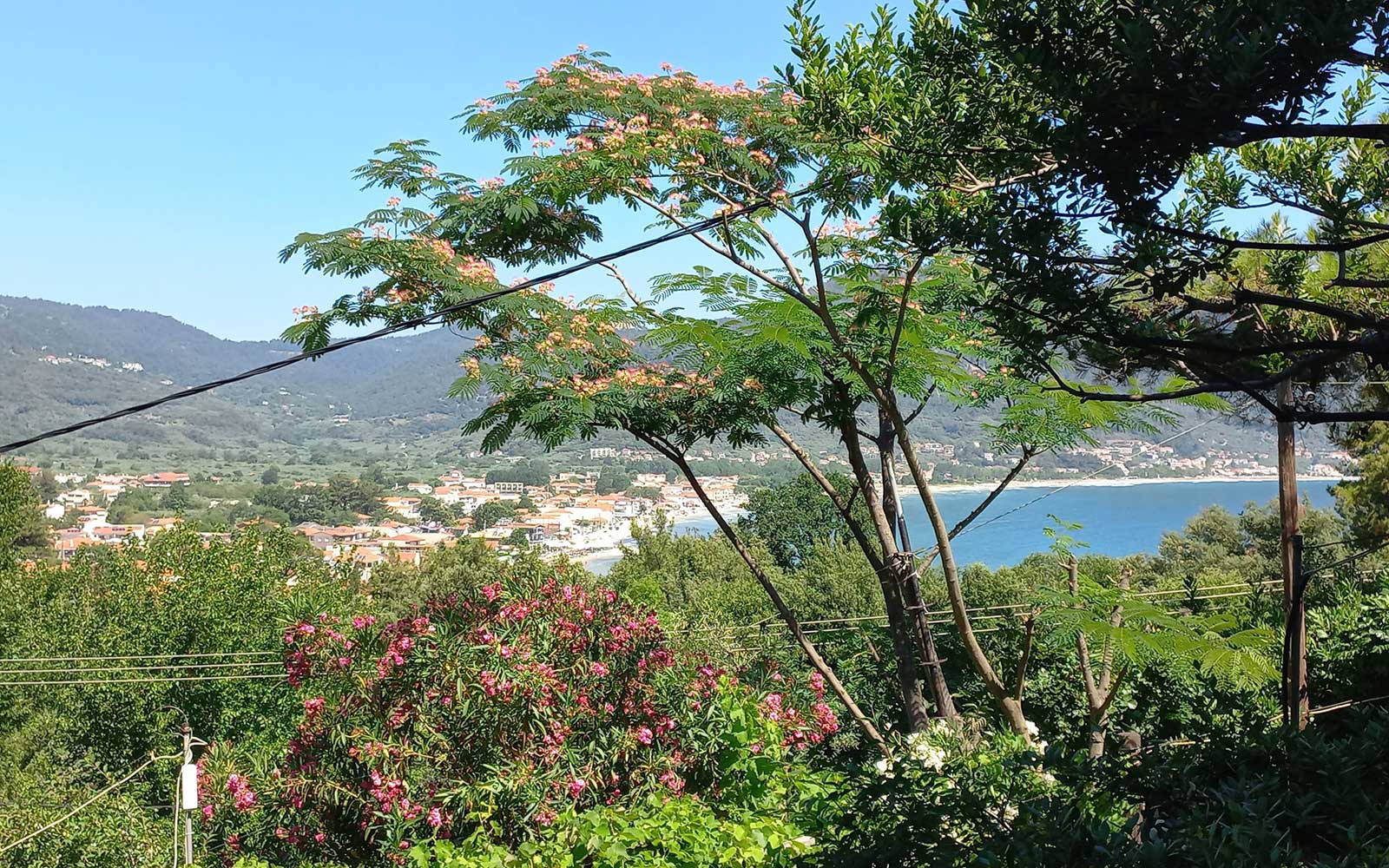 Villa Dimitra στη Θάσο - Μπαλκόνι με θέα στη θάλασσα και στον κήπο