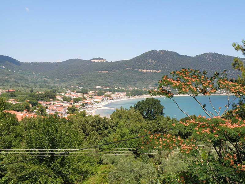 Superior double studio 6 - Θέα στη θάλασσα και στον κήπο