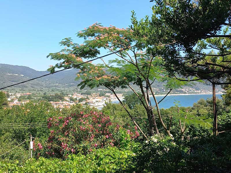 Τρίκλινο δωμάτιο 1 - Θέα στη θάλασσα και στον κήπο