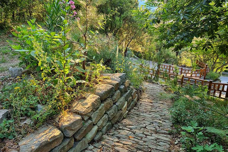 Πέτρινο μονοπάτι στον περιβάλλοντα χώρο στο Villa Dimitra